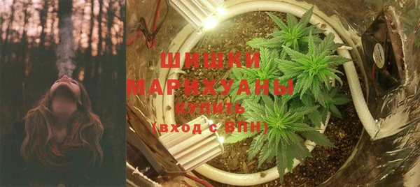 мяу мяу кристалл Гусь-Хрустальный