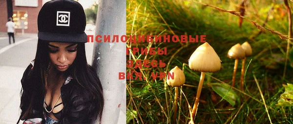 МДПВ Гусиноозёрск