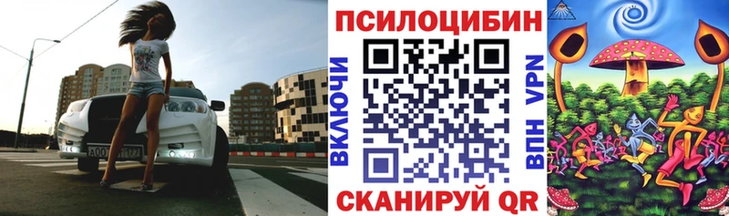 Купить где  Клин  Псилоцибиновые грибы MAGIC MUSHROOMS 
